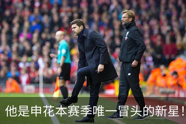他是申花本赛季唯一冒头的新星！未来有望破格进国足，值得期待