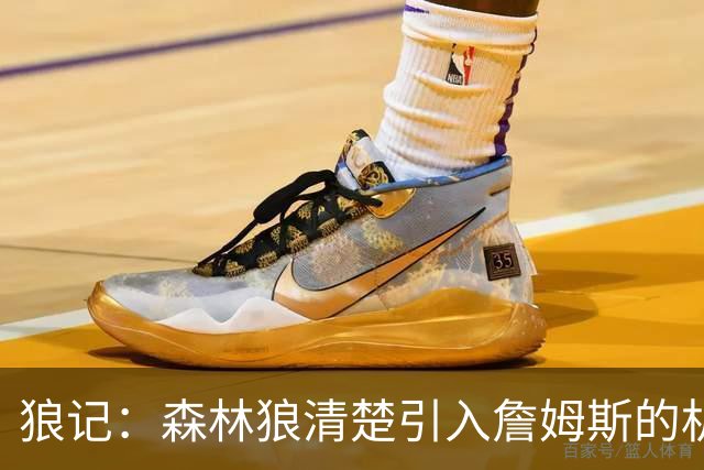 狼记：森林狼清楚引入詹姆斯的机会微乎其微 但他们积极主动招募